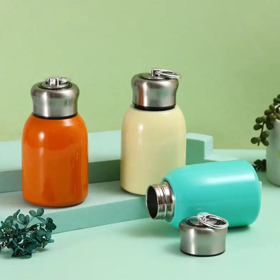 Mini Premium Stainless Steel Flask Bottle