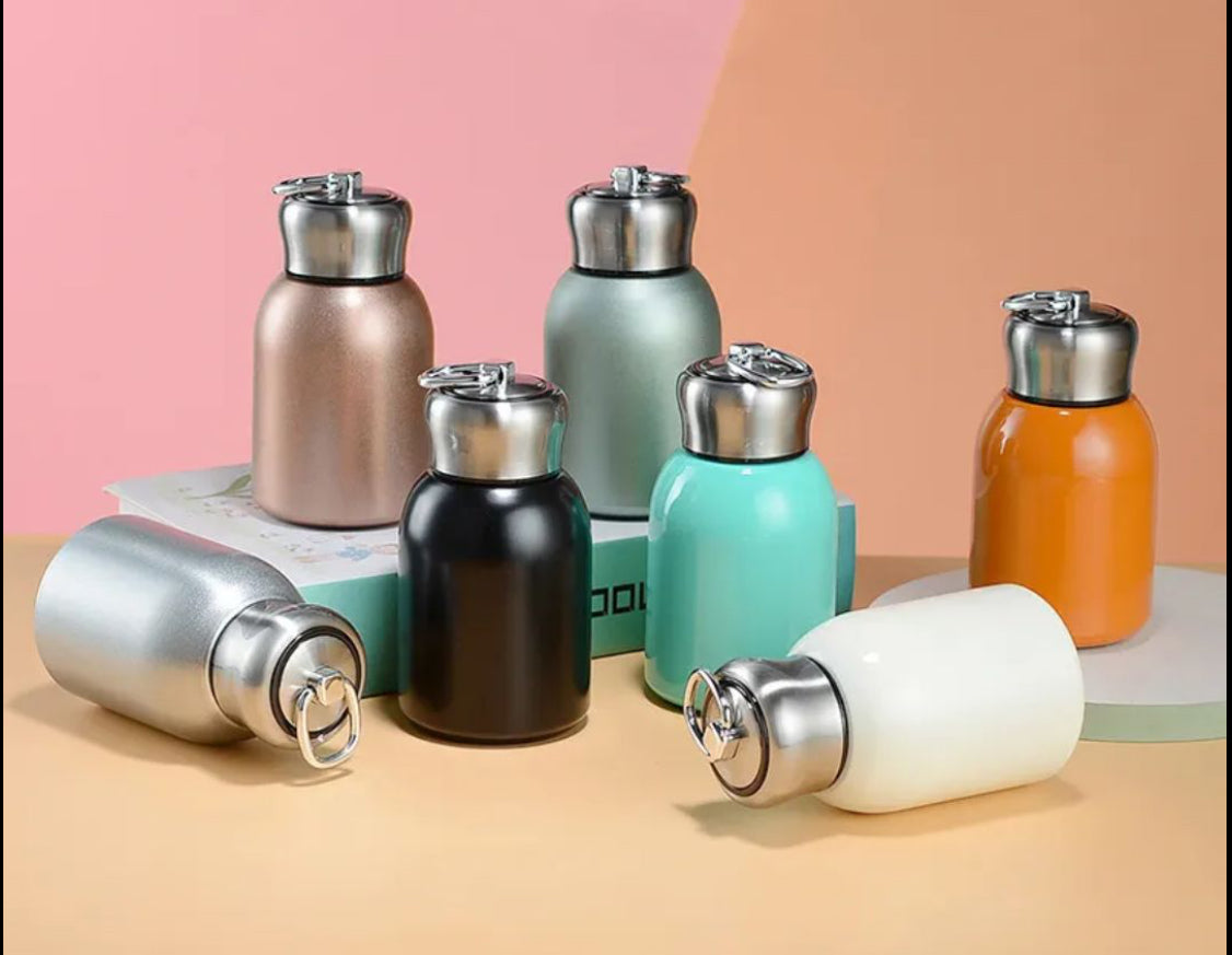 Mini Premium Stainless Steel Flask Bottle